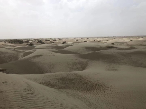 鑒定意見(jiàn)的直接證據(jù)效力范圍如何？上海刑事官司律師來(lái)回答