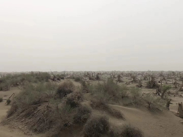 什么表現(xiàn)才算犯罪中止？徐匯區(qū)刑事律師為大家解析犯罪中止的具體表現(xiàn)