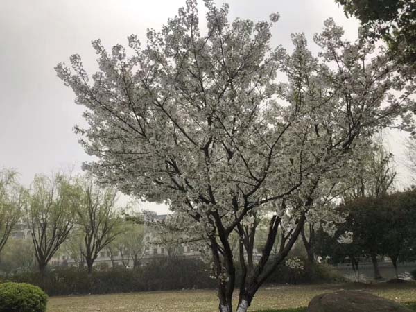 上海刑事會見律師來講講會見時能否讓當(dāng)事人用律師手機與外界通話