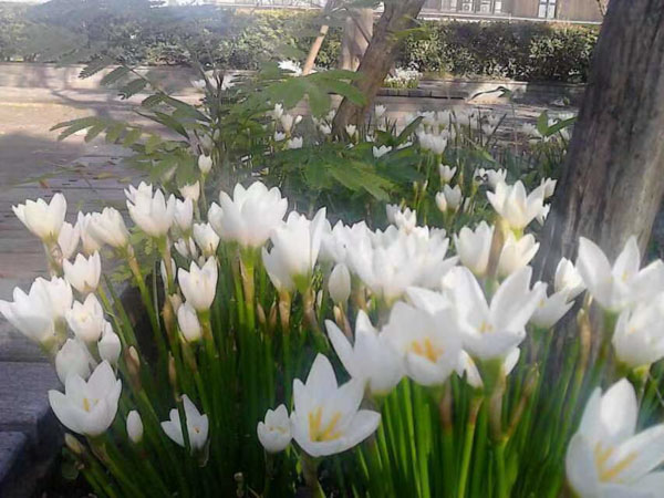 盜竊自己借給別人的東西在司法實踐中是盜竊嗎？上海刑事律師事務所來回答