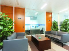 上海經(jīng)濟(jì)犯罪律師-常見(jiàn)的經(jīng)濟(jì)犯罪有哪些