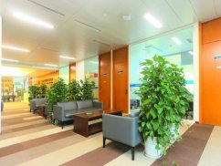 <b>上海刑事案件律師視角：有經(jīng)濟(jì)案件戶口能否遷？</b>