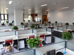 <b>刑律風(fēng)云：深度剖析故意傷害罪辯護(hù)策略，許某、王某某案件啟示</b>